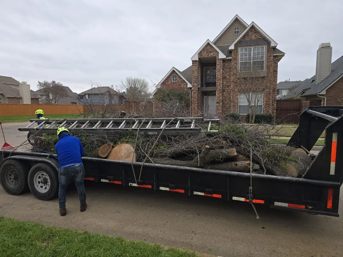 Expert Crown Reduction with proper safety equipment in Cazenovia